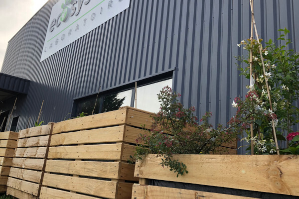 Permacultura: los jóvenes del club de ecohuertos de Patay visitan nuestras instalaciones.