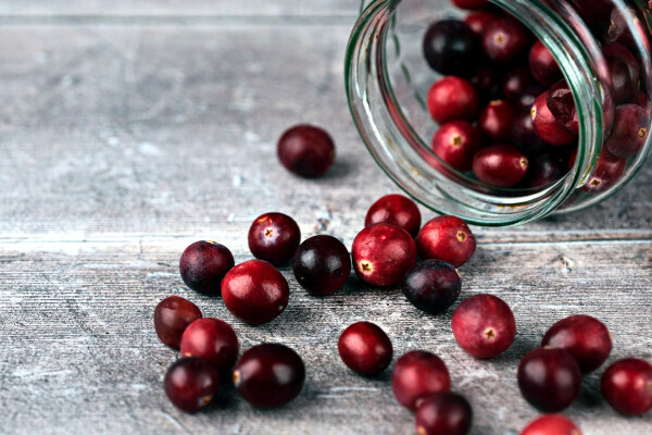 The cranberry, a small berry with great virtues!