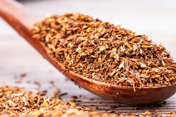 Rooibos: ¡descubra los beneficios de esta planta excepcional!