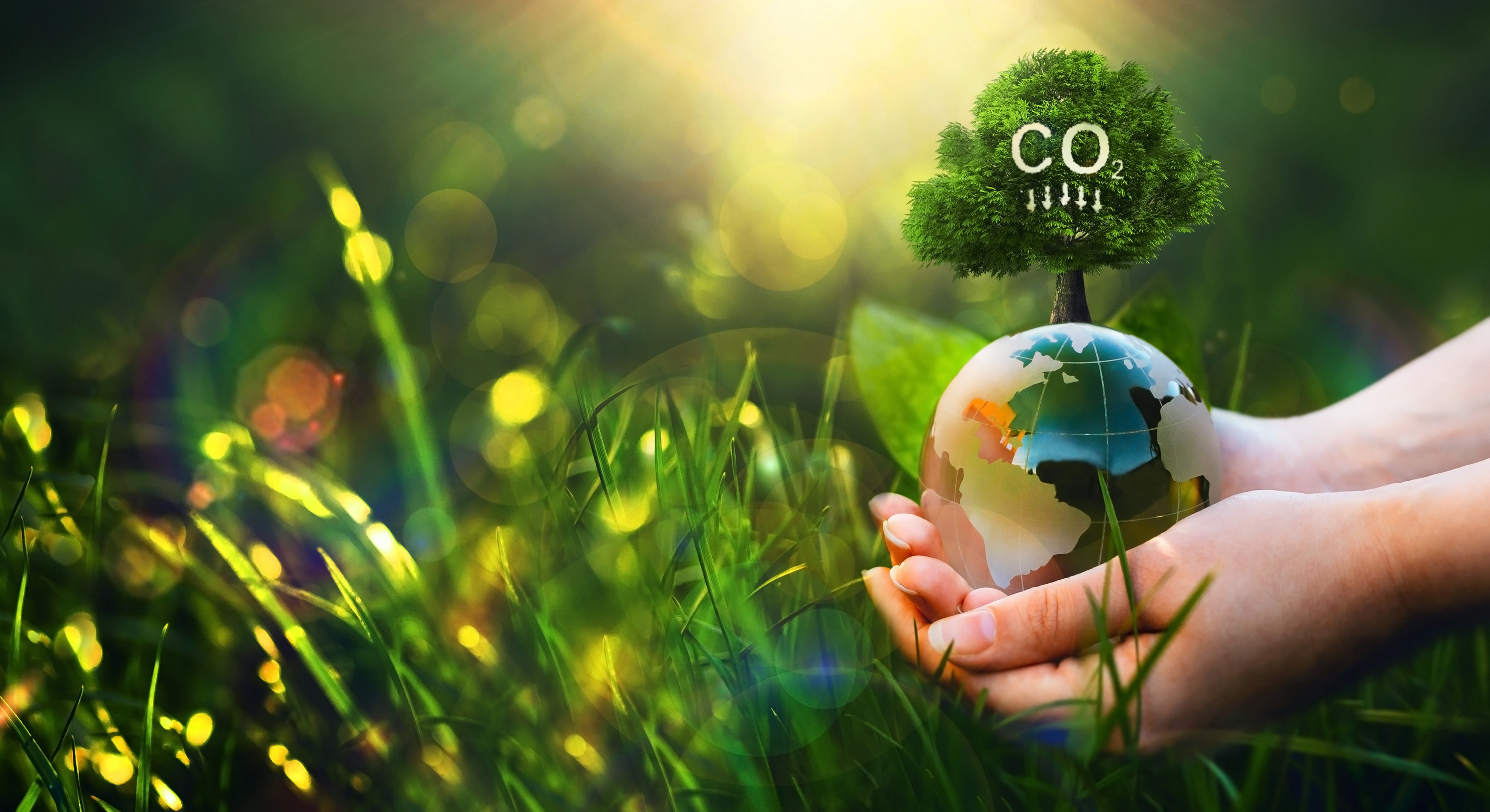 Empreinte carbone et innovations vertes l’engagement